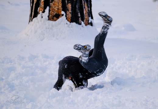 Yosemite-13